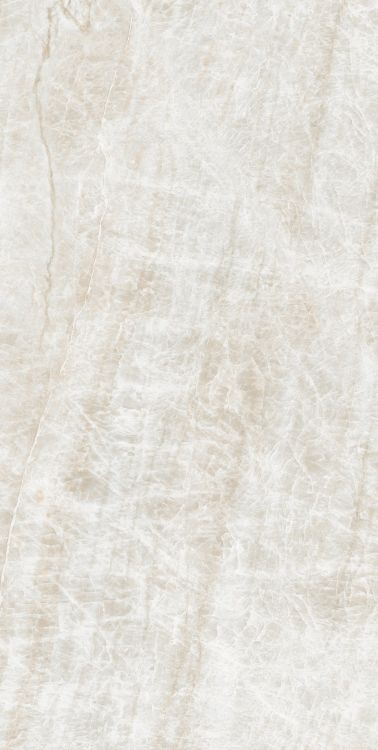 Kraken Polished 24 x 48